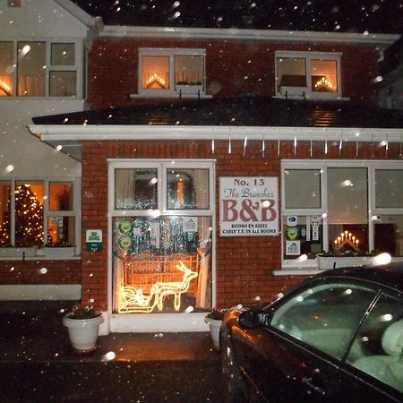 The Branches B&B Galway Exterior photo